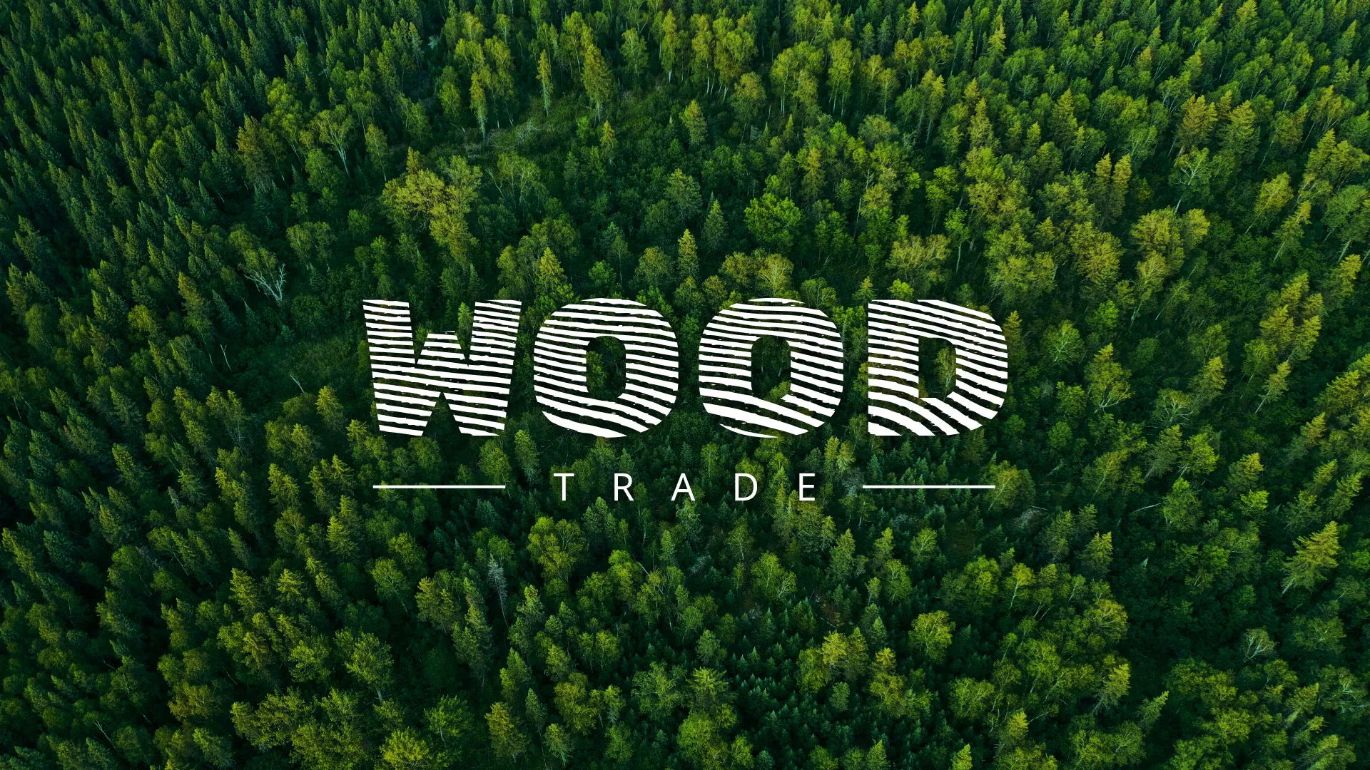 Разработка интернет-магазина компании «Wood Trade» в Вышнем Волочке